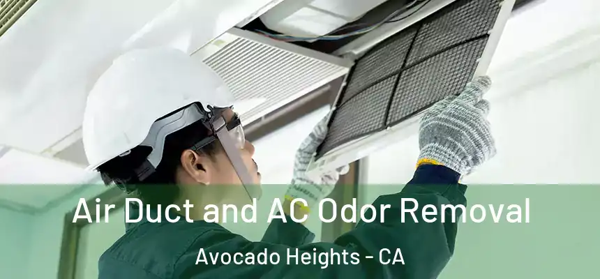 Air Duct and AC Odor Removal Avocado Heights - CA