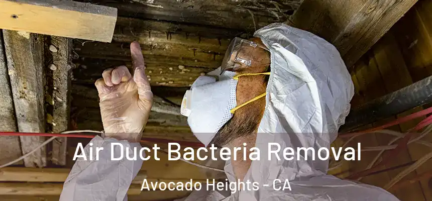  Air Duct Bacteria Removal Avocado Heights - CA