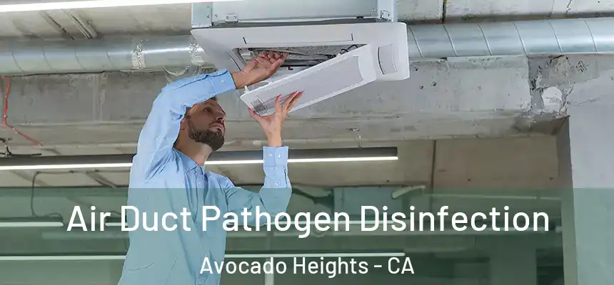  Air Duct Pathogen Disinfection Avocado Heights - CA