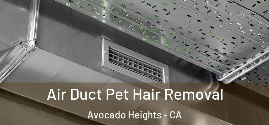 Air Duct Pet Hair Removal Avocado Heights - CA