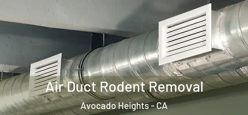  Air Duct Rodent Removal Avocado Heights - CA