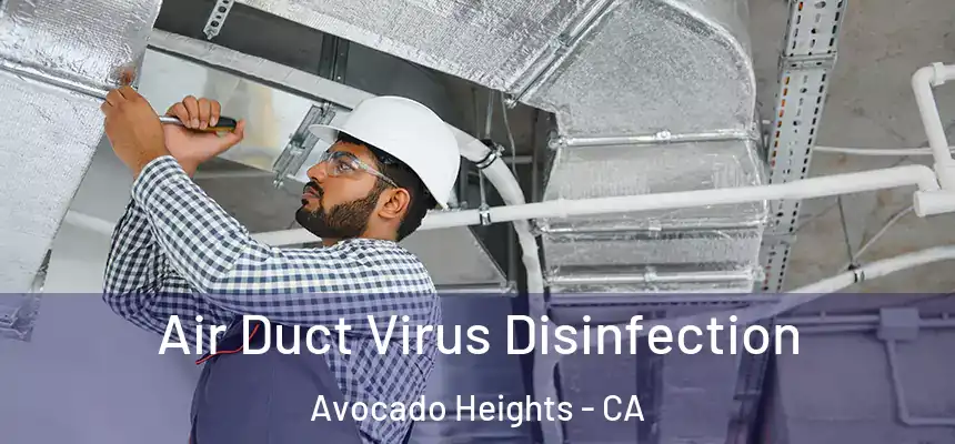 Air Duct Virus Disinfection Avocado Heights - CA