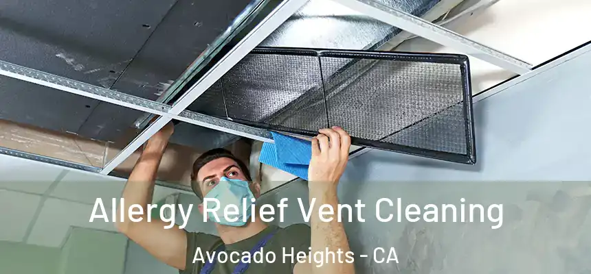 Allergy Relief Vent Cleaning Avocado Heights - CA