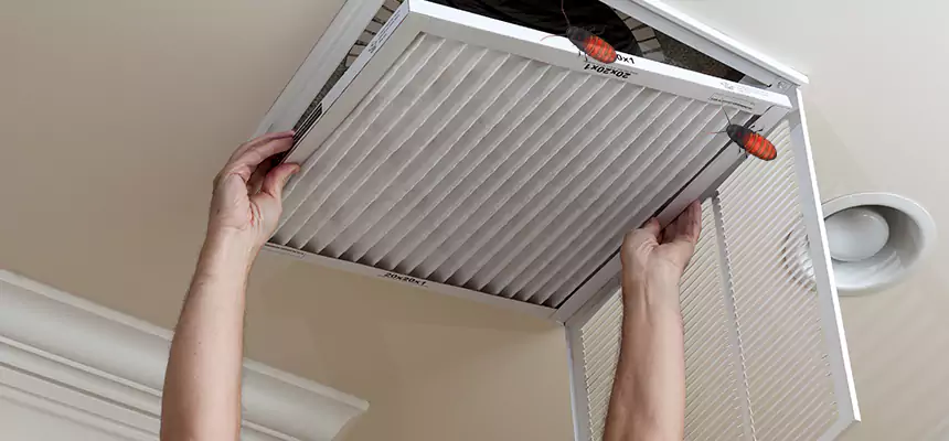Preventive Cockroach-Proofing for Ducts in Avocado Heights