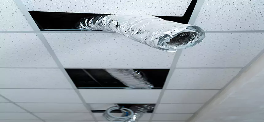 Affordable HVAC Sanitizing After Pest Removal in Avocado Heights