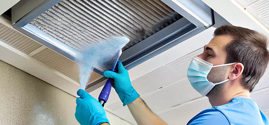 Proactive Dryer Vent & Auxiliary Duct Pollen Cleanup in Avocado Heights, CA