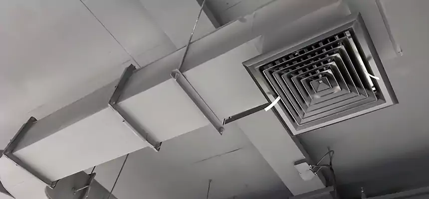 Restorative Allergy Relief Vent Cleaning – Coil, Blower & Housing Detail in Avocado Heights