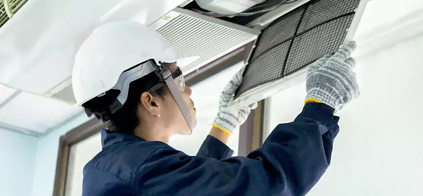 Our Mold & Mildew Removal from Air Ducts Services in Avocado Heights, CA