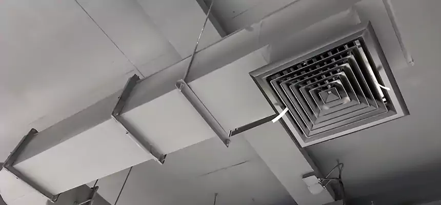 Our Pest Removal From Ducts Services in Avocado Heights, CA