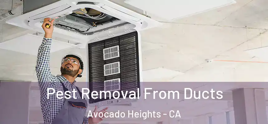  Pest Removal From Ducts Avocado Heights - CA