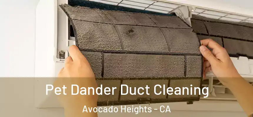  Pet Dander Duct Cleaning Avocado Heights - CA