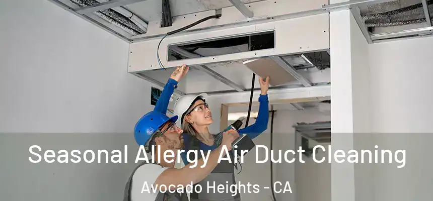 Seasonal Allergy Air Duct Cleaning Avocado Heights - CA