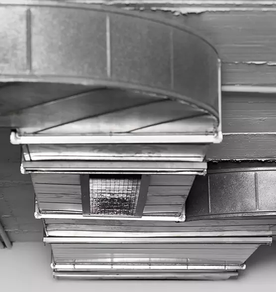 Professional Air Duct Pest Removal in Avocado Heights, CA