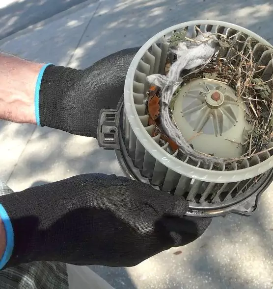 About Air Duct Rat Removal in Avocado Heights, CA