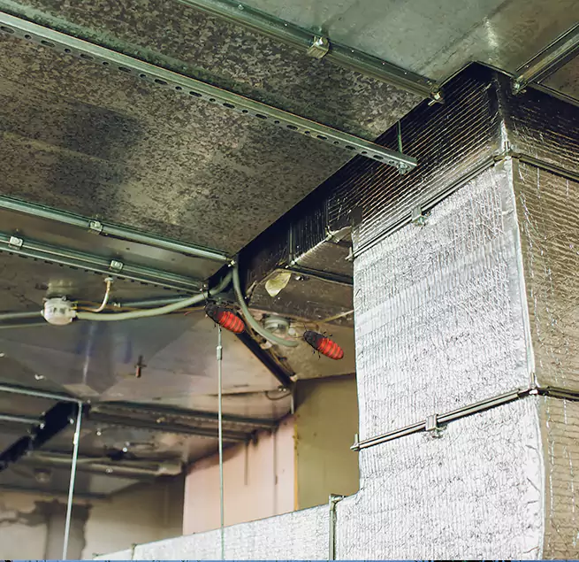 Why Homeowners & Businesses Trust Us in Avocado Heights, CA?