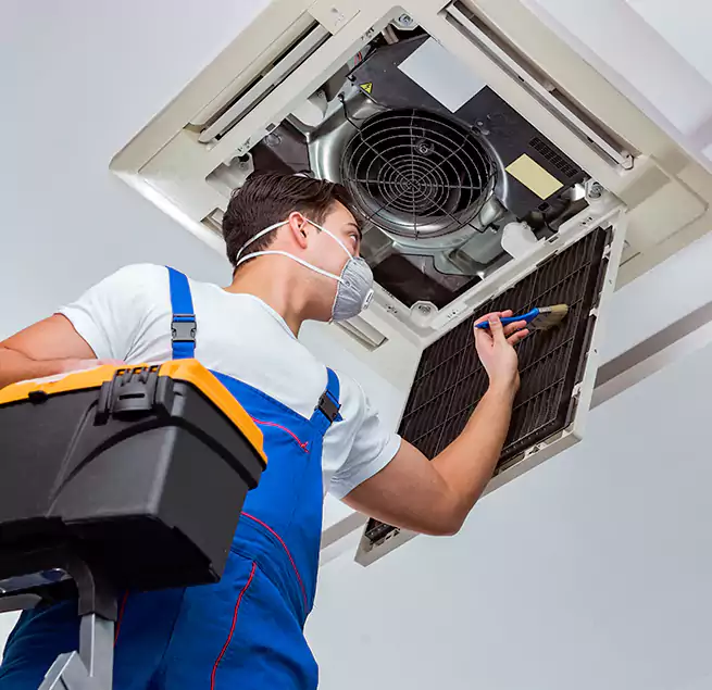 Why Homeowners & Businesses Trust Us in Avocado Heights, CA?