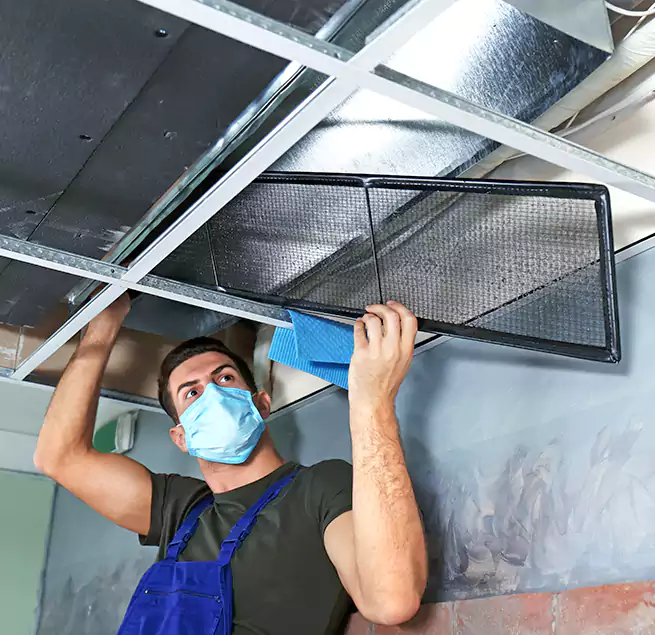 Why Homeowners Businesses Trust Us in Avocado Heights, CA