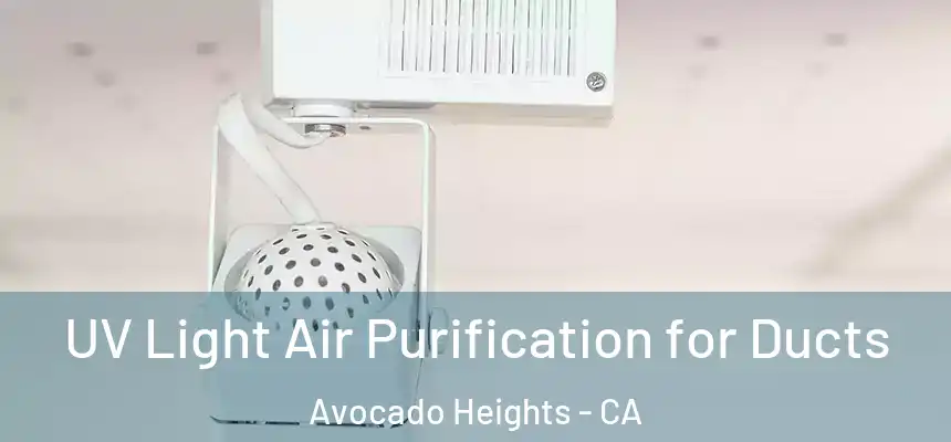  UV Light Air Purification for Ducts Avocado Heights - CA